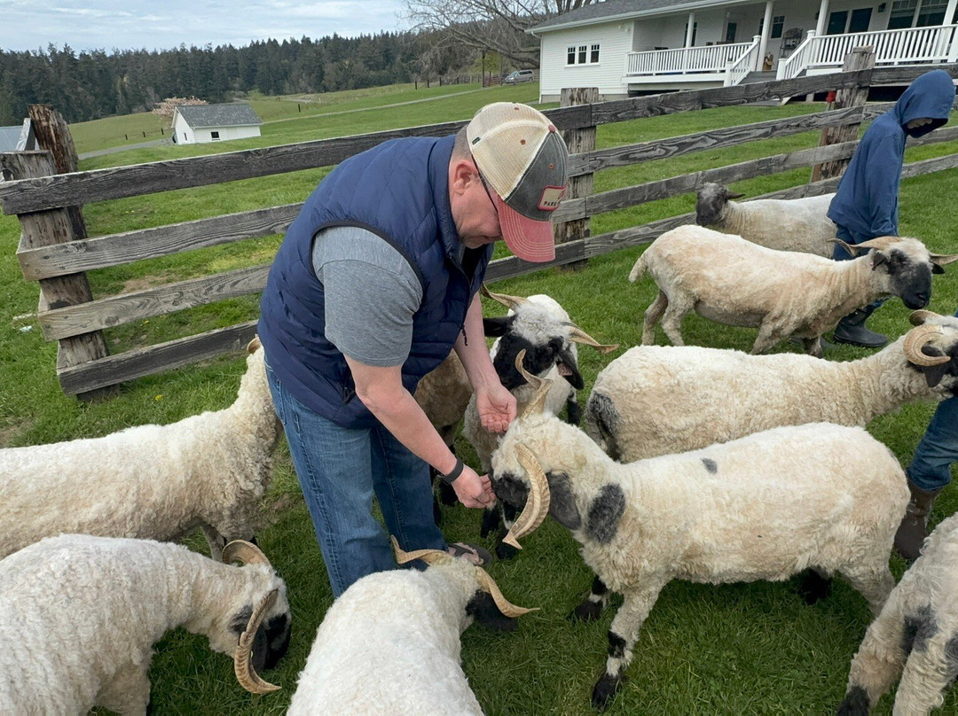 Amaro Farm-星期五港湾必去景点