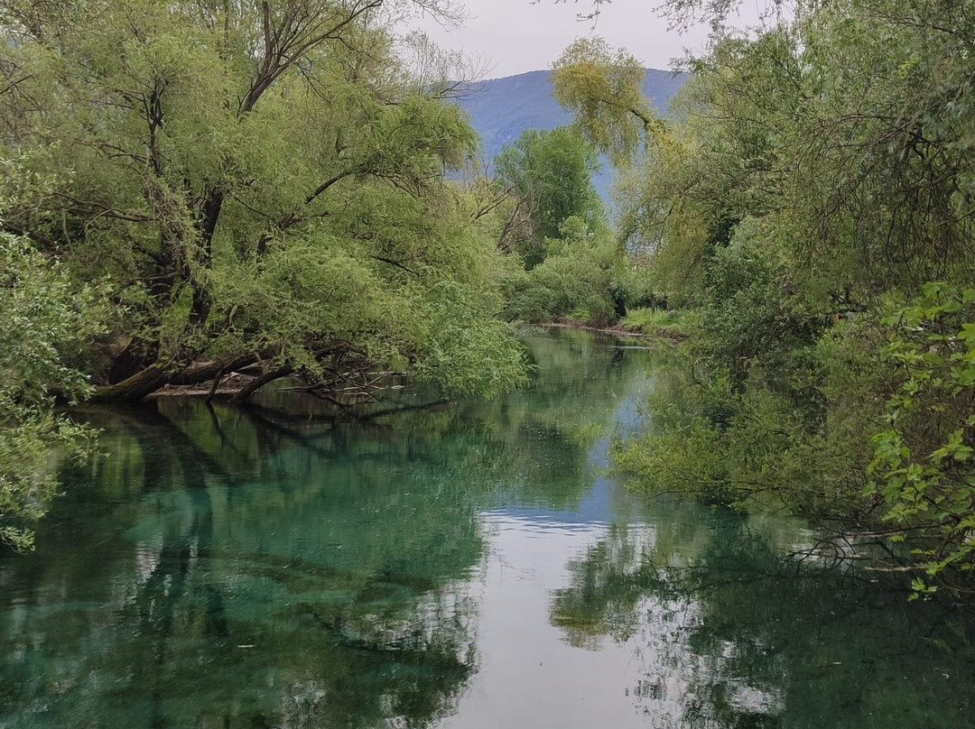 Parco del Grassano-San Salvatore Telesino必去景点