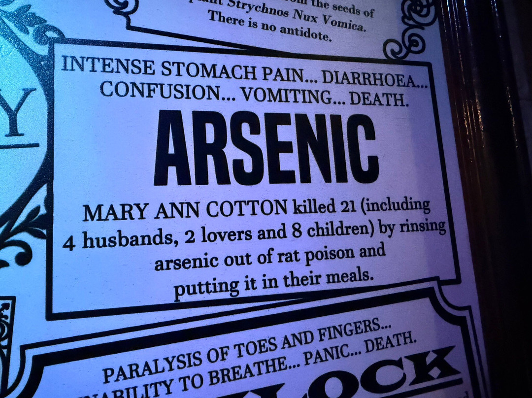 The True CRIME Museum-海斯廷斯必去景点