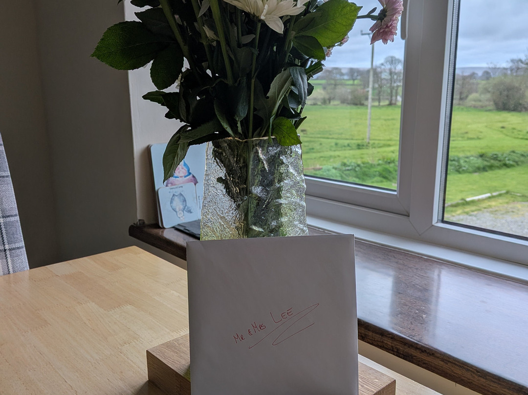 Maesyfelin Isaf B&B主图