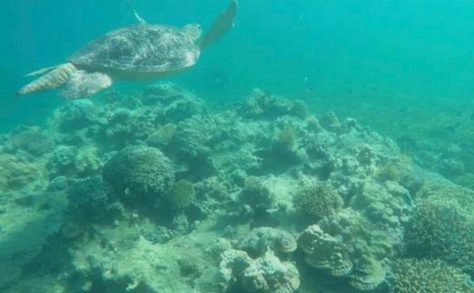 皇家Andilana度假村和Spa主图