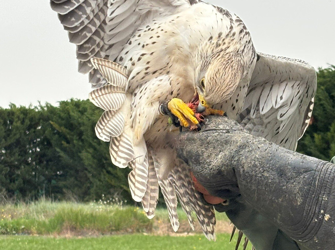 Tierra Rapaz-Calahorra必去景点