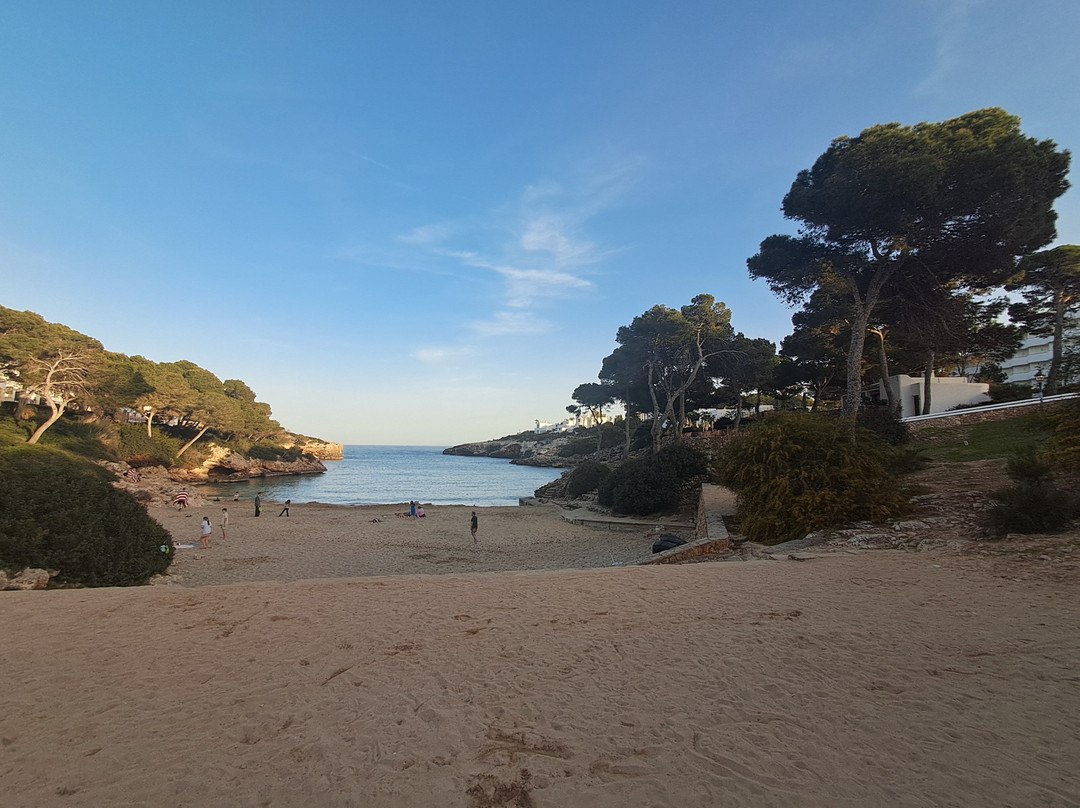 Cala Esmeralda Beach-卡拉多尔必去景点