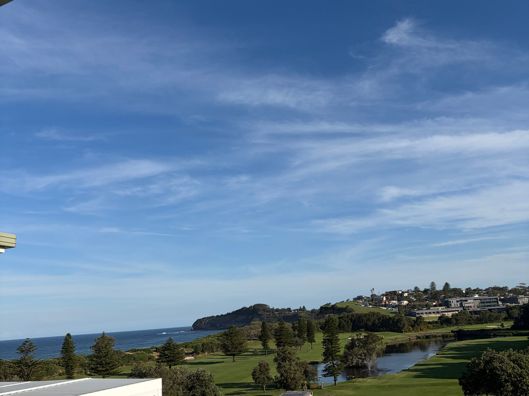 The Mona Social主图