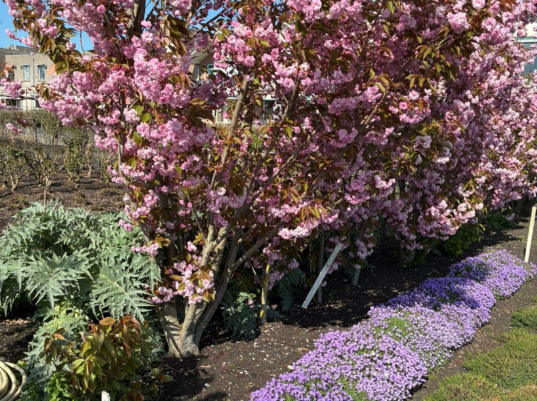 Tuinbouwmuseum Historische Tuin Aalsmeer-Aalsmeer必去景点