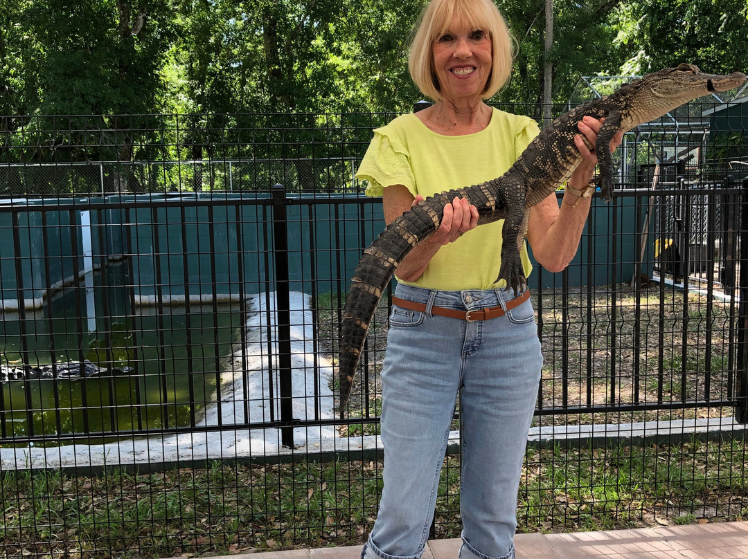 Tarpon Springs Aquarium and Animal Sanctuary-塔彭斯普林斯必去景点