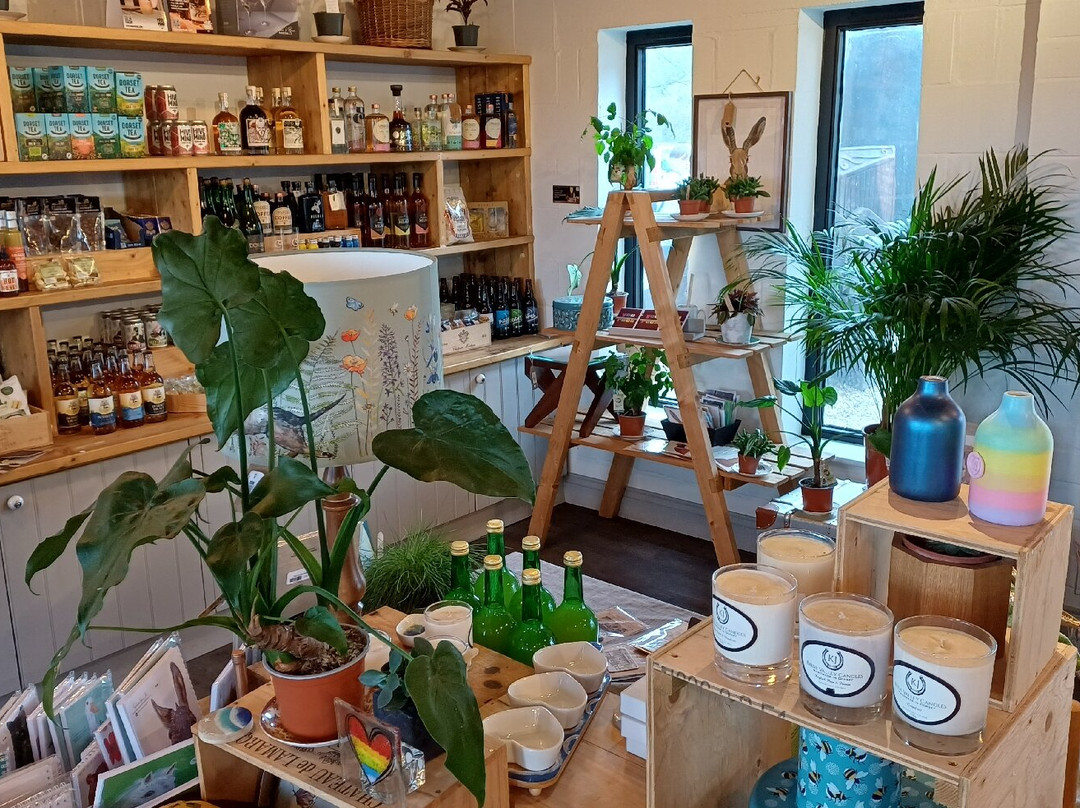 Kingston Maurward Park And Gardens-多切斯特必去景点