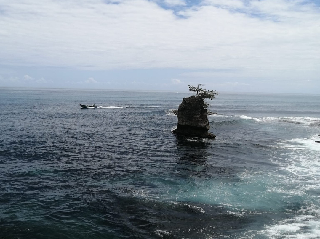 Gandoca - Manzanillo Wildlife Refuge-Province of Limon必去景点