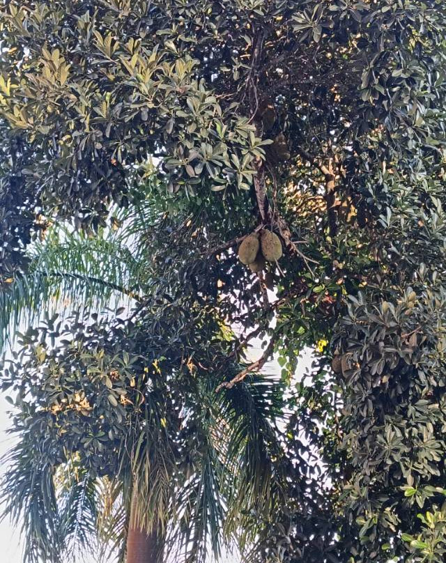 西双版纳悦椿温泉度假酒店主图