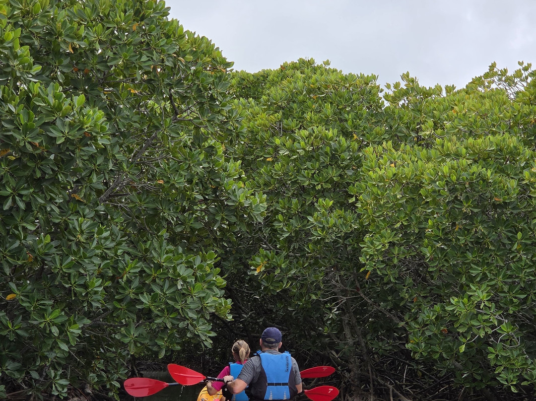 Sea Kayak Adventures-毛里求斯必去景点