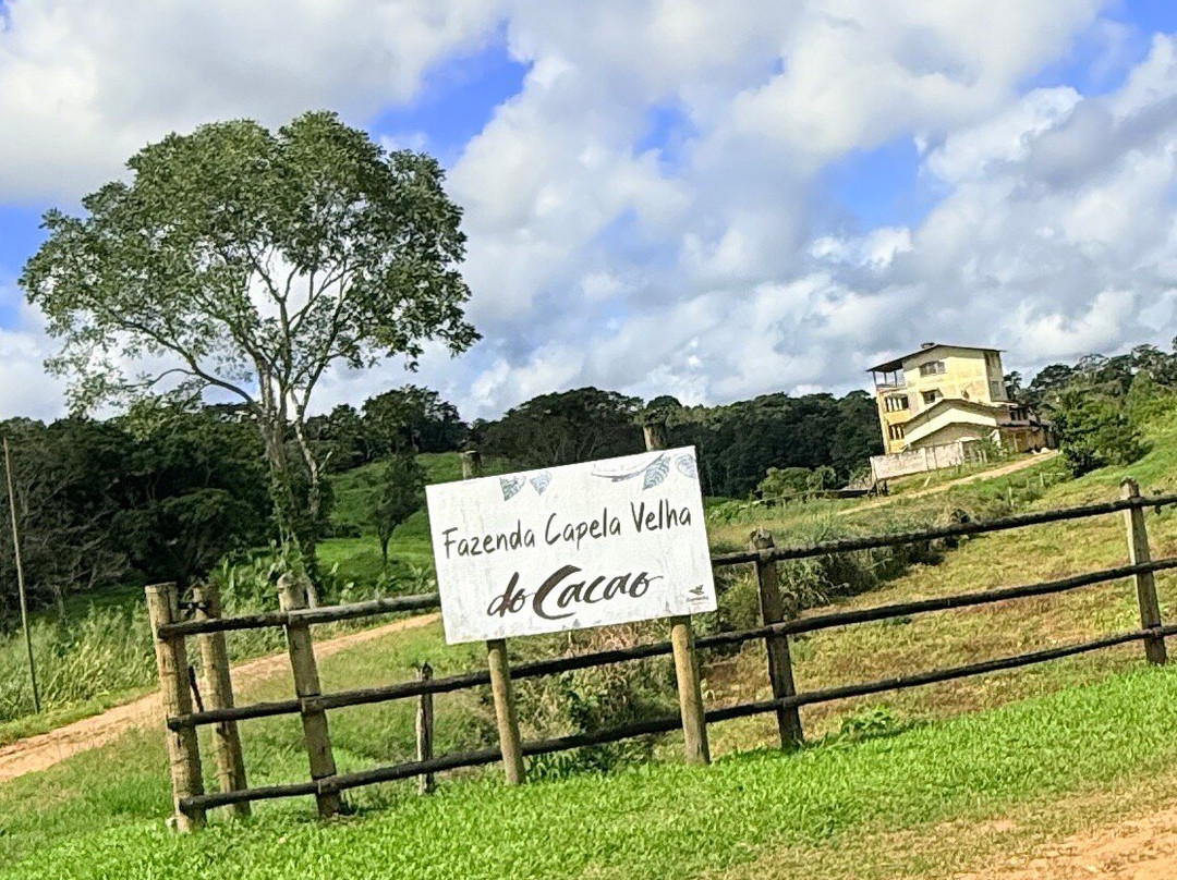 Fazenda Capela Velha-Urucuca必去景点