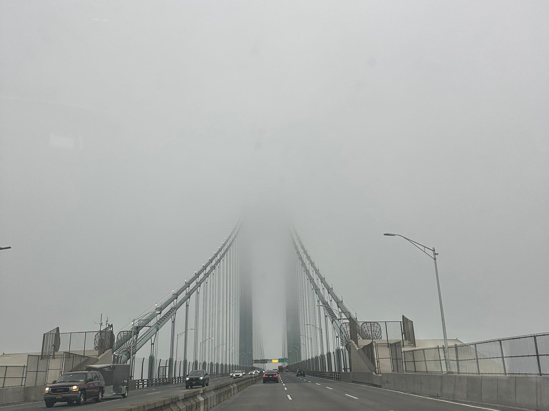 Verrazano Narrows Bridge-布鲁克林必去景点