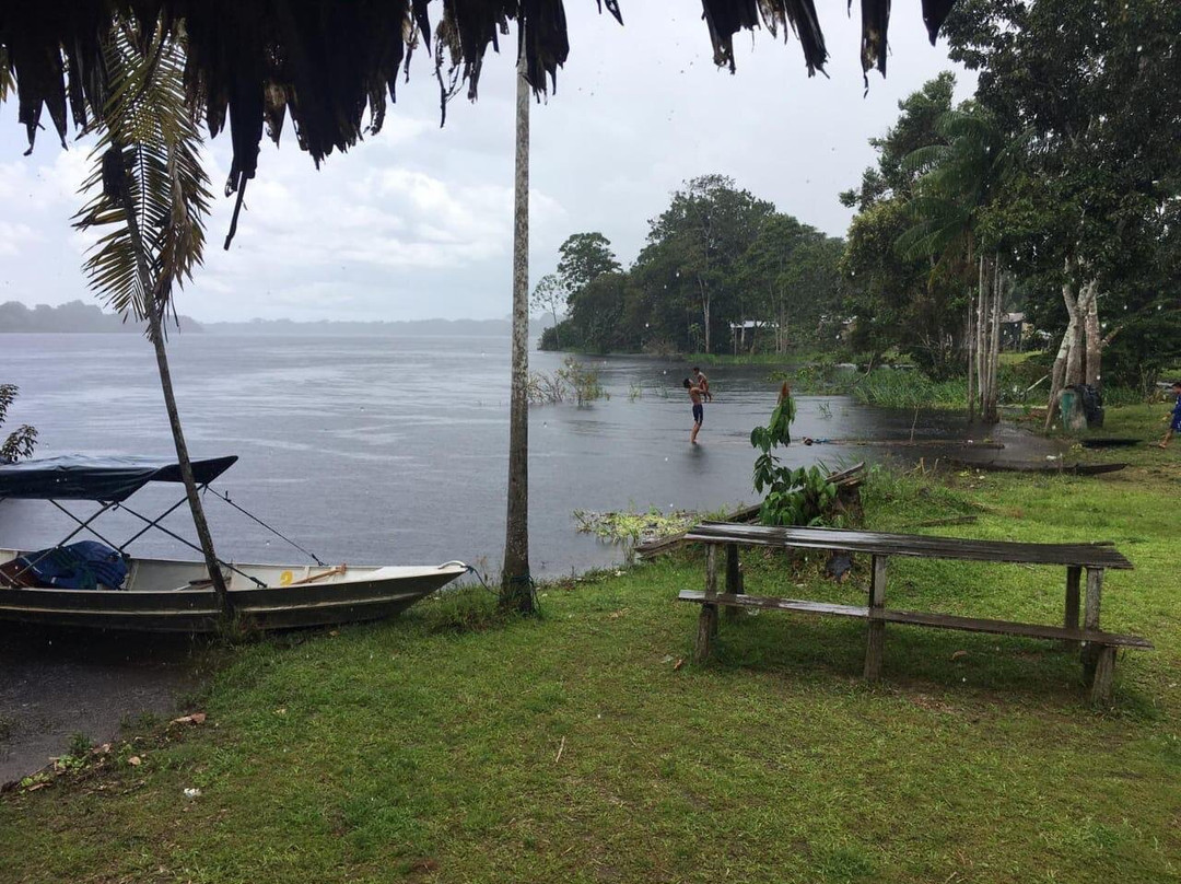 Amaselva Tours - Colombia Amazon-Puerto Narino必去景点