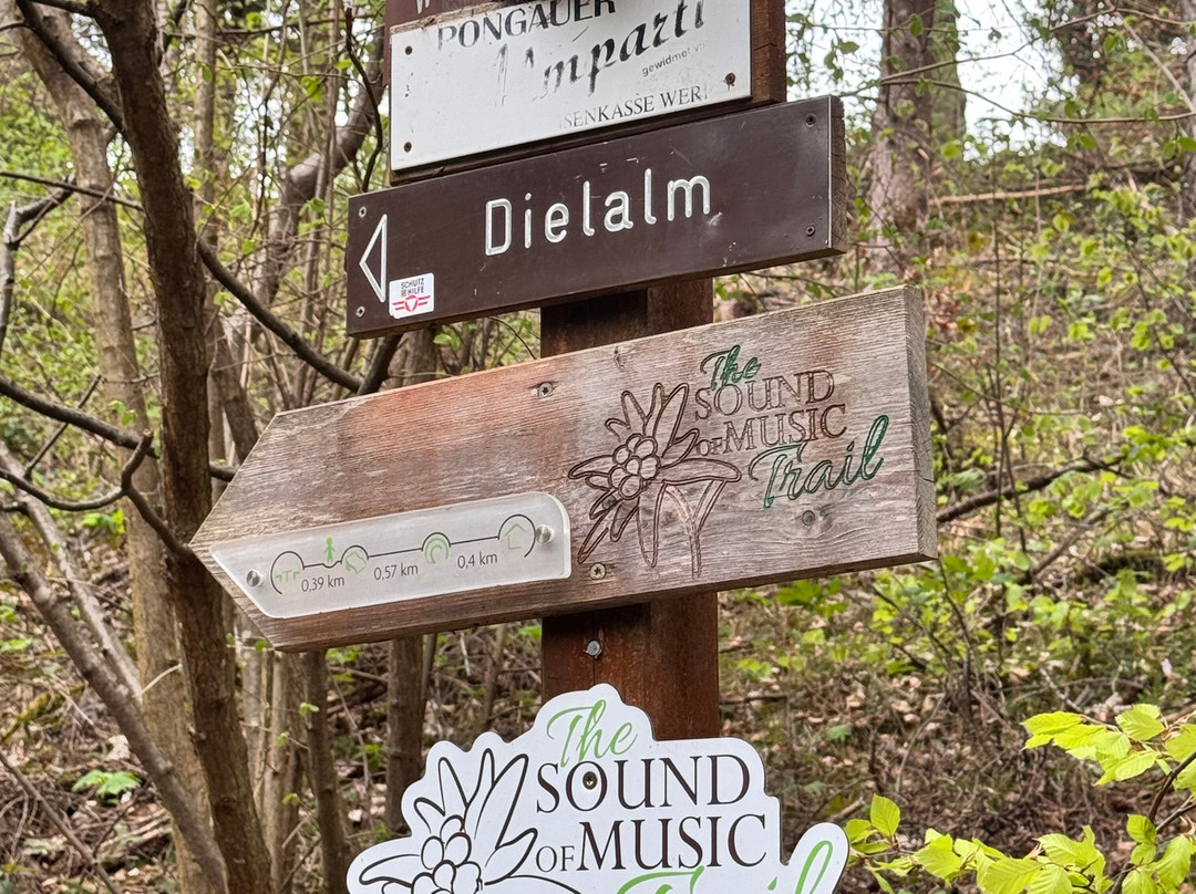 The Sound of Music Trail-维尔芬必去景点