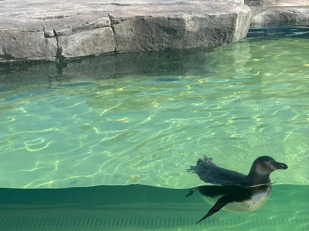Natureland Seal Sanctuary-斯凯格内斯必去景点