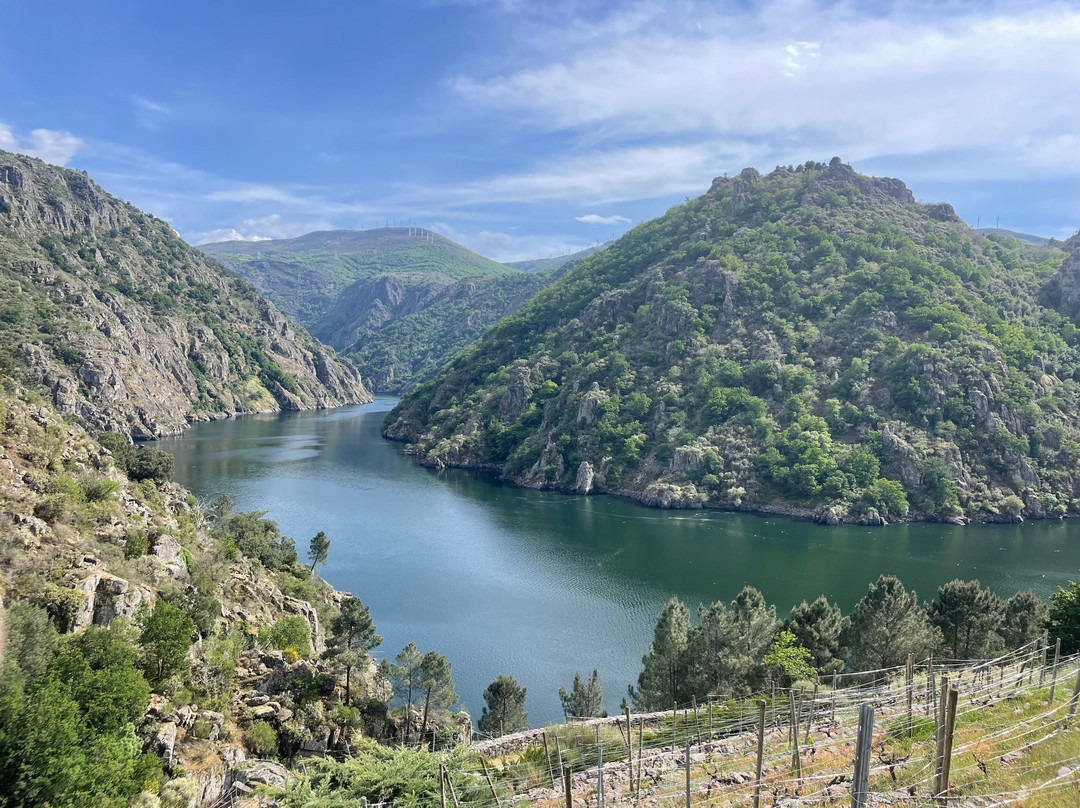 Cañón Del Sil - Ribeira Sacra-奥伦塞省必去景点