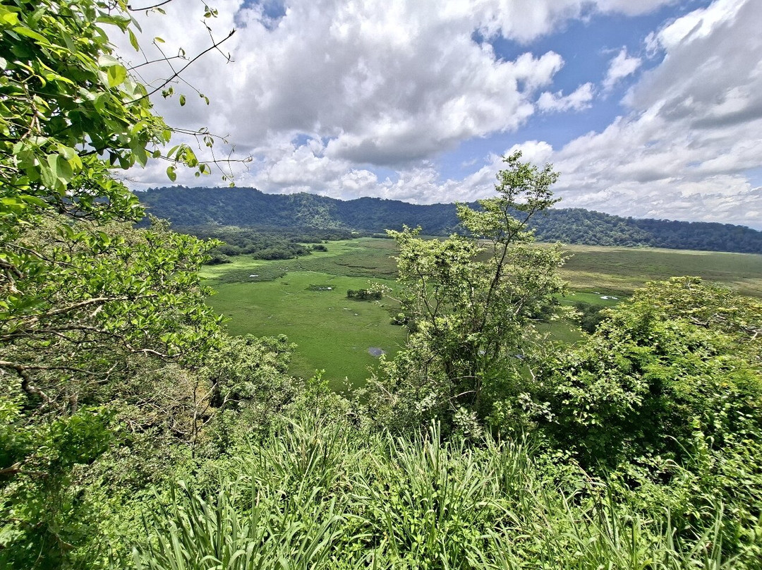 Nungunungu-姆贝亚必去景点