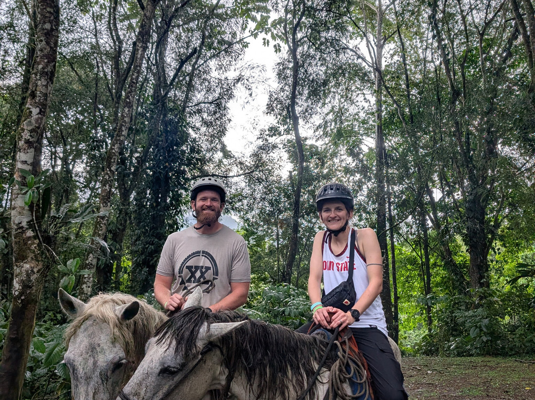 Selva Bananito Lodge主图