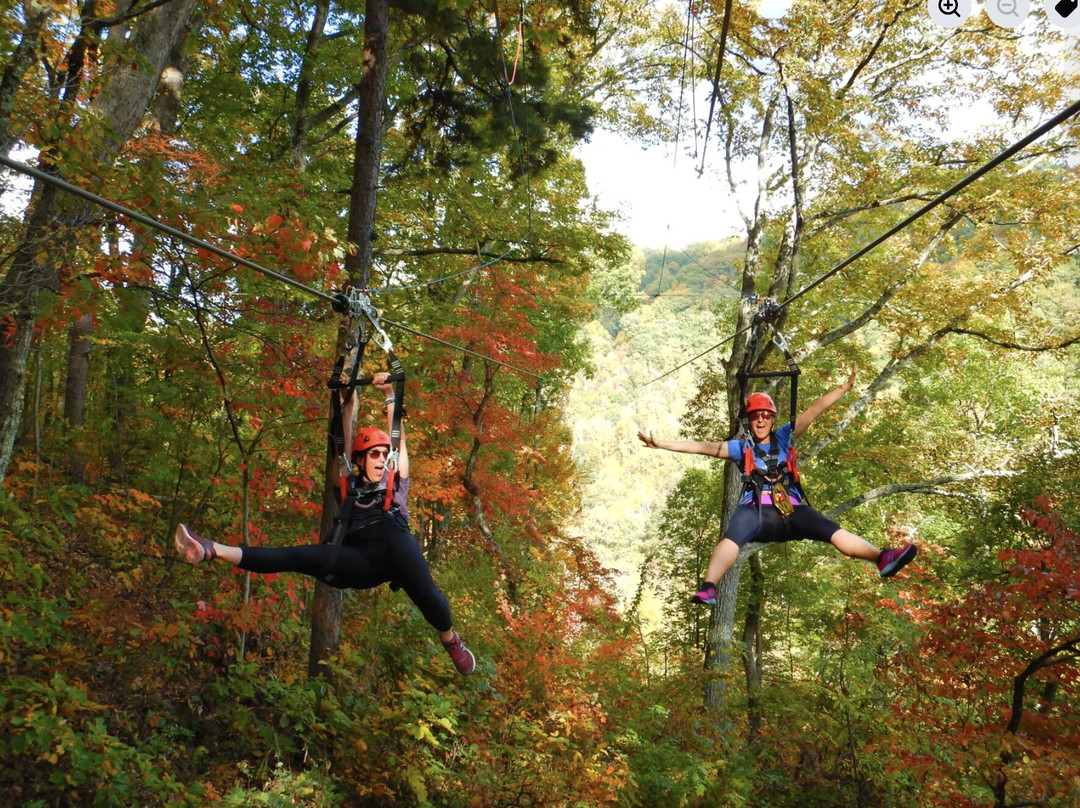 Navitat Canopy Adventures-Barnardsville必去景点