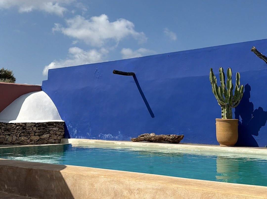 Riad Baoussala主图