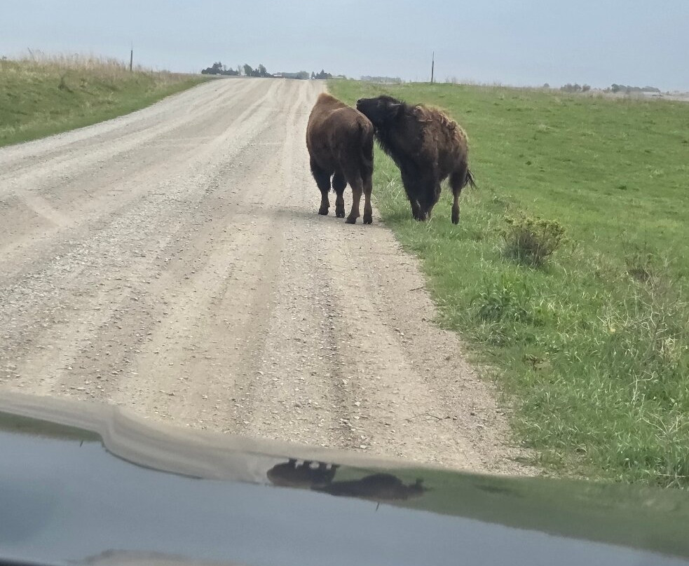 Neal Smith National Wildlife Refuge and Prairie Learning Center-Prairie City必去景点