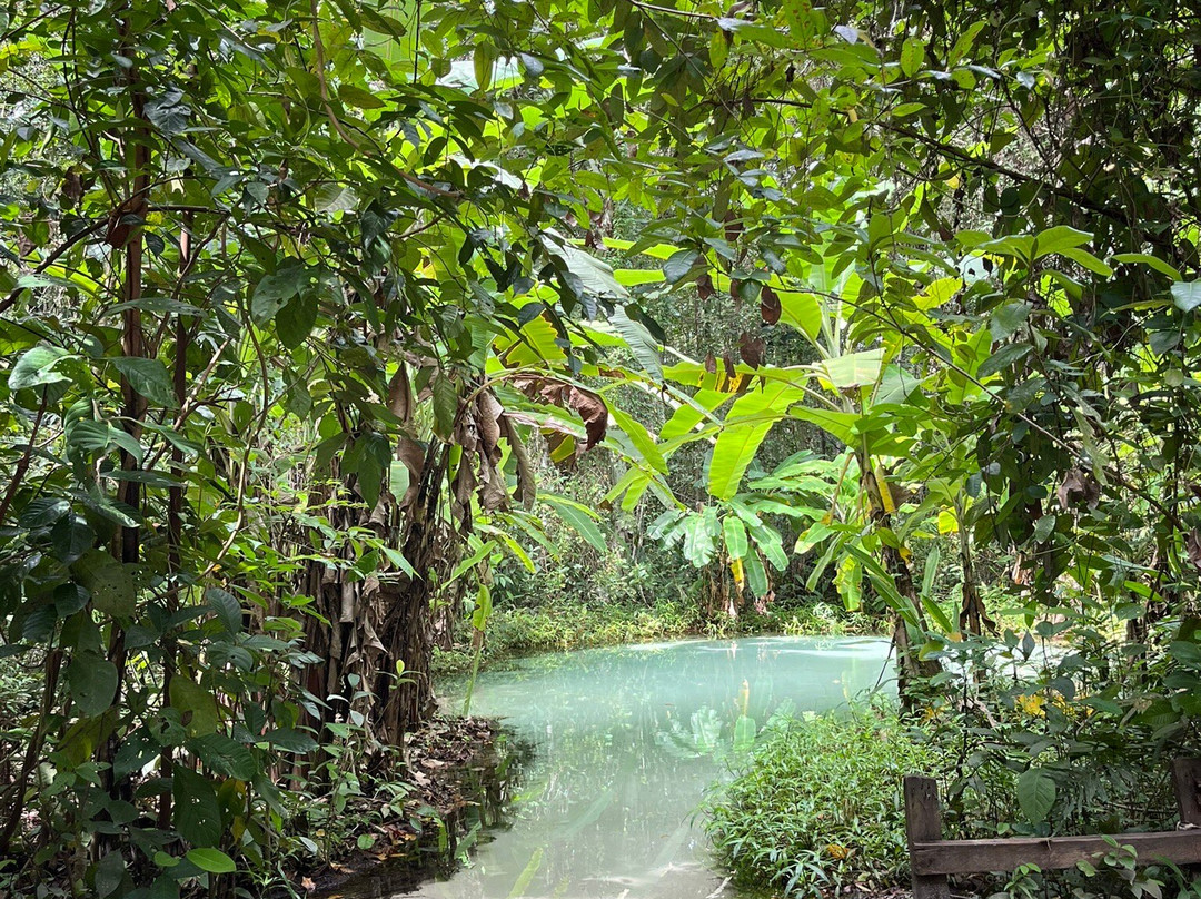 Fervedouro do Ceica-Mateiros必去景点