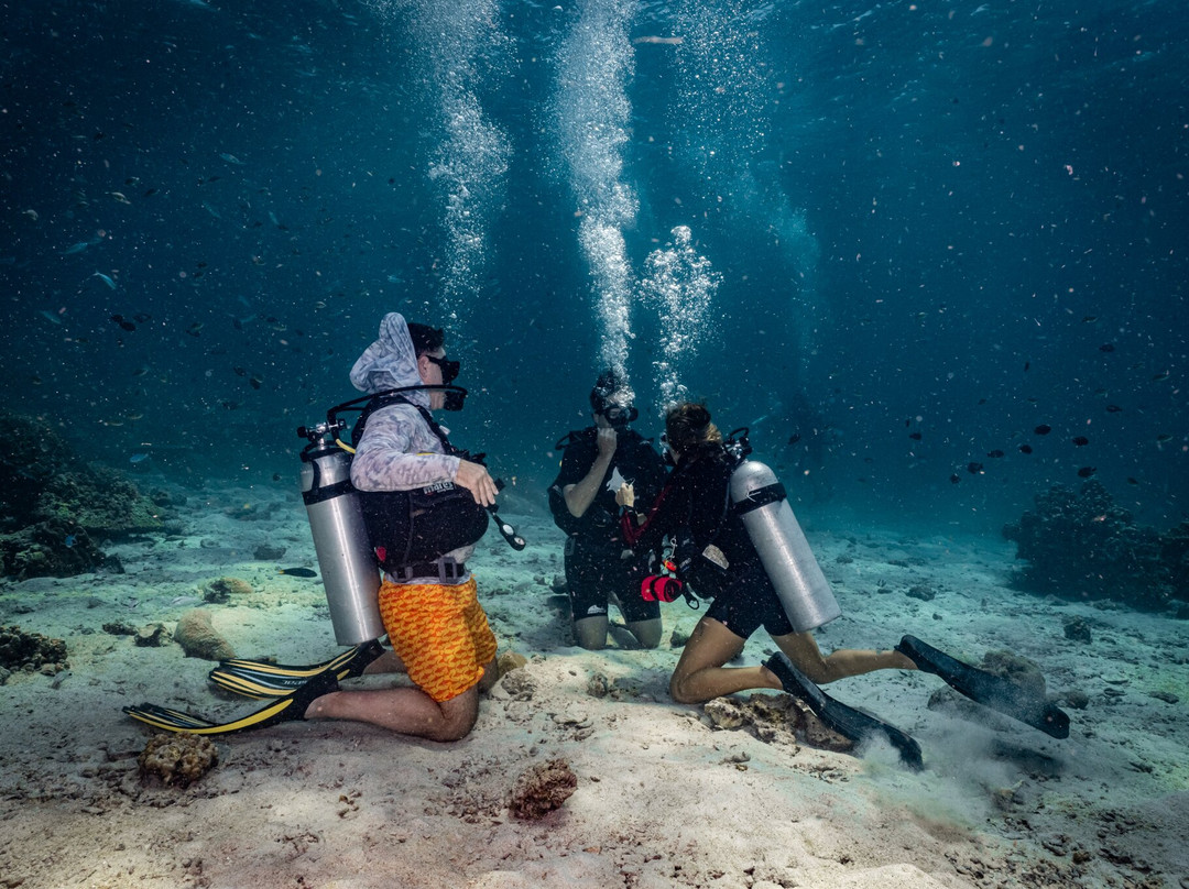 Forra Diving - Day Tour-丽贝岛必去景点