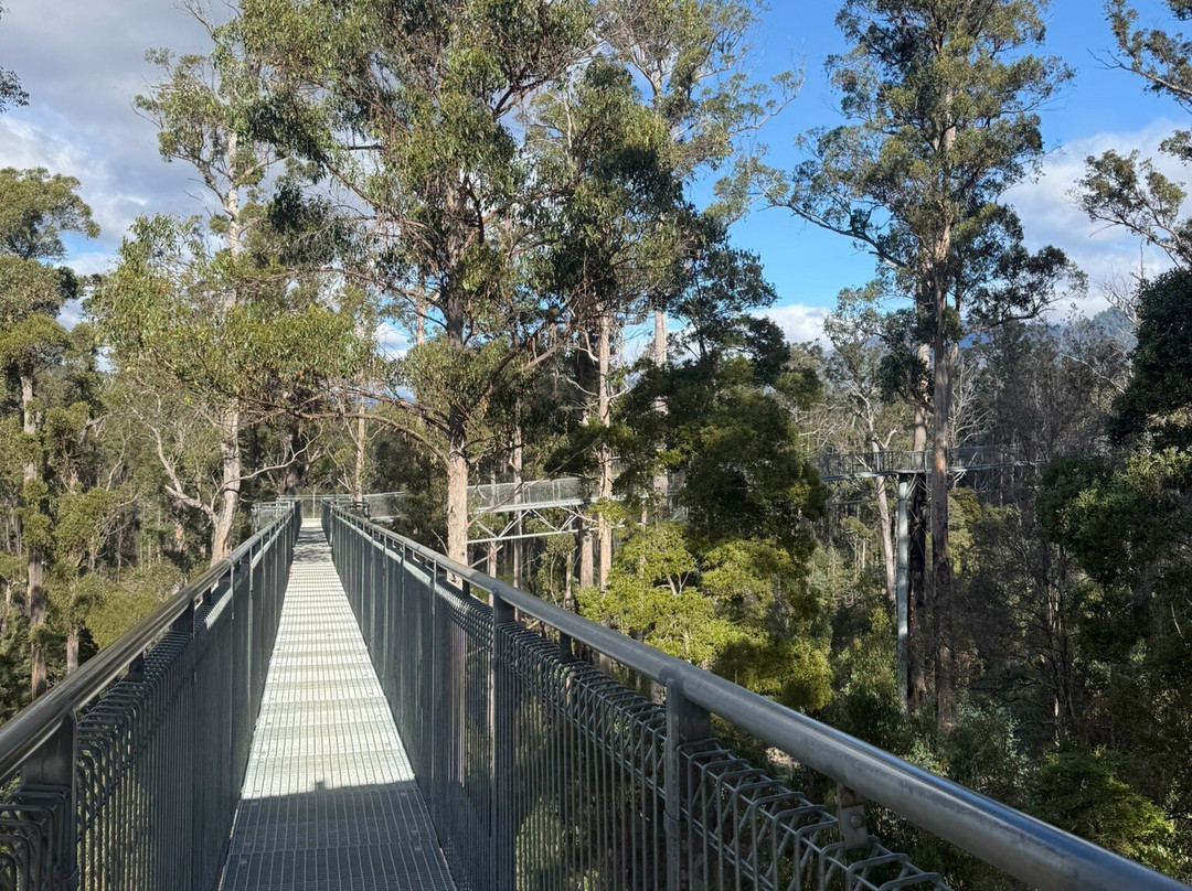 Tahune Adventures-Geeveston必去景点