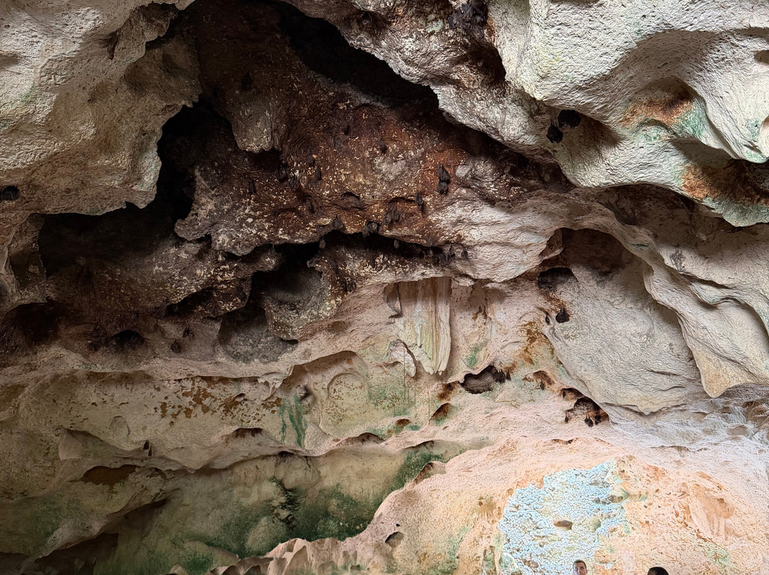 Cayman Crystal Caves-大开曼岛必去景点