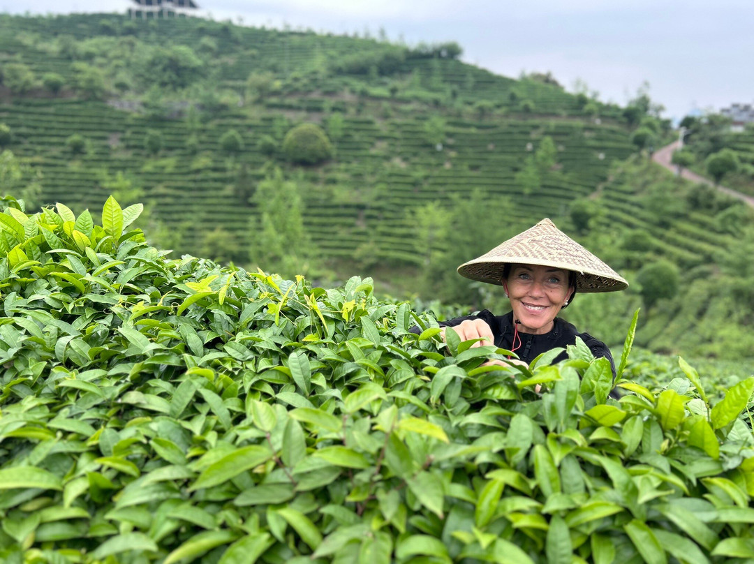 China Educational Tours-桂林市必去景点