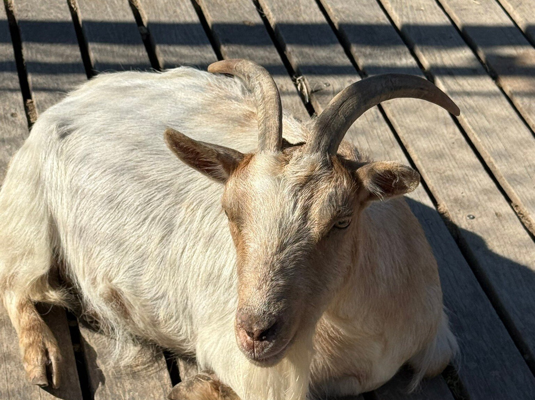 Parco Naturale Di Cervia-切尔维亚必去景点