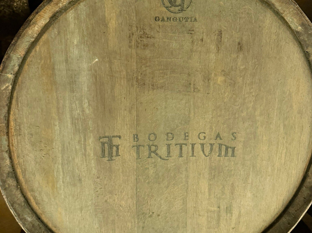 Bodegas Tritium-Cenicero必去景点