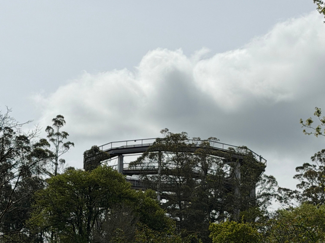 Treetop Walk Avondale-Rathdrum必去景点