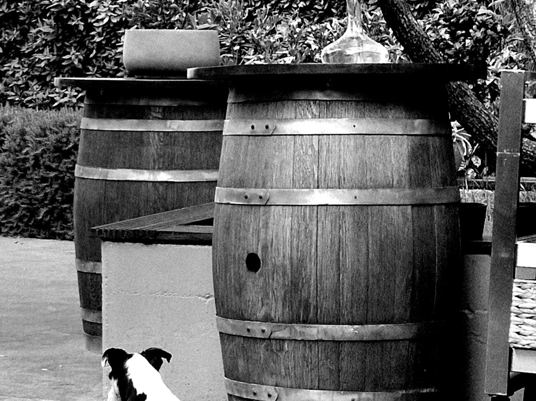 Benazic Winery-普拉必去景点