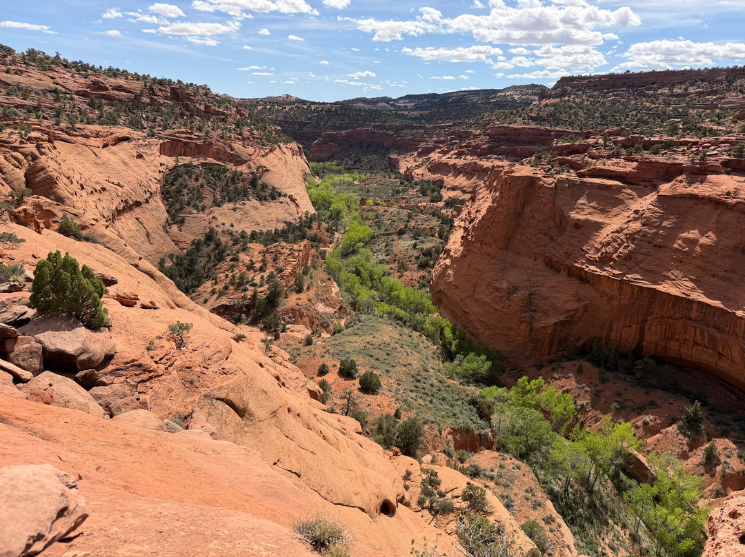 Utah Slickrock Guides-Boulder必去景点