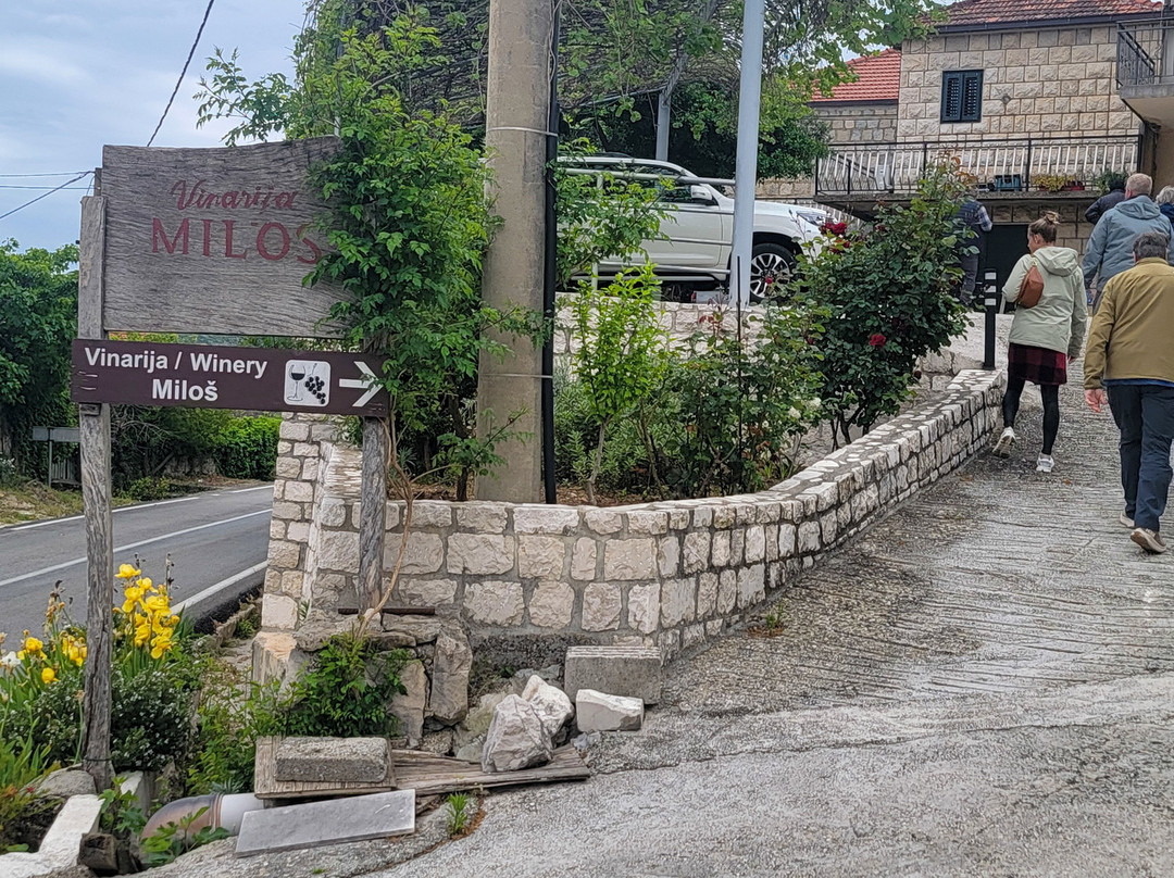 Milos Winery-斯顿必去景点