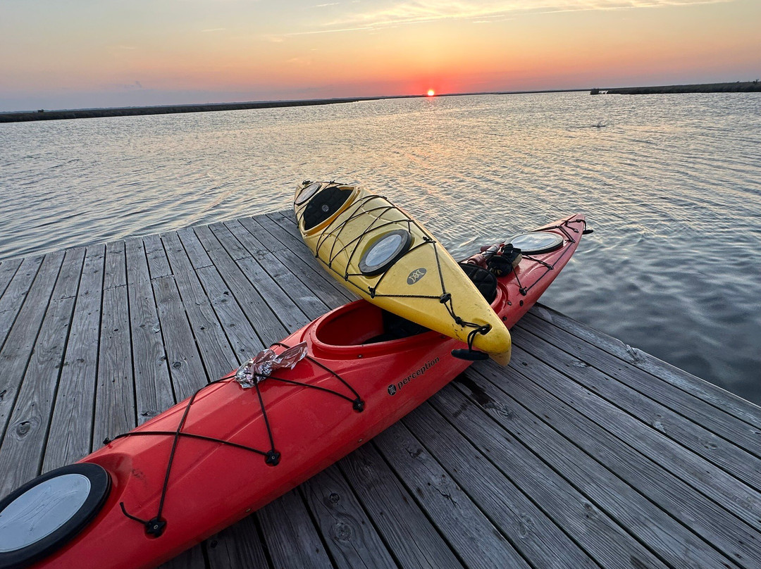Coastal Kayak Touring Company-Duck必去景点