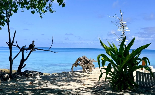 Raimiti-旅行者