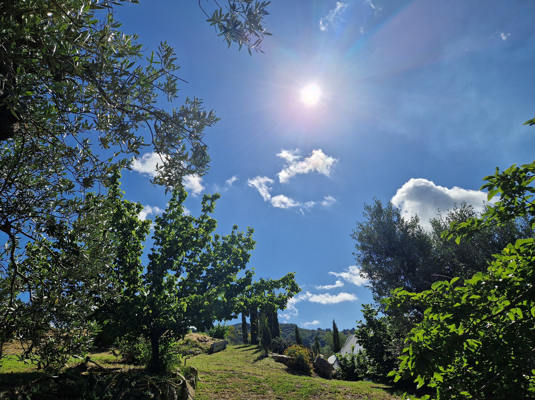 Agriturismo Podere Il Fornacino主图