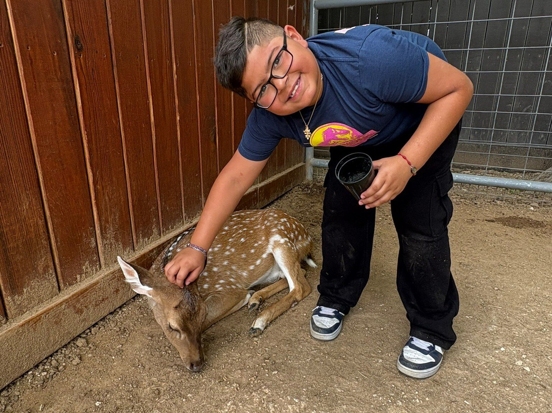 Animal World & Snake Farm Zoo-新布朗费尔斯必去景点