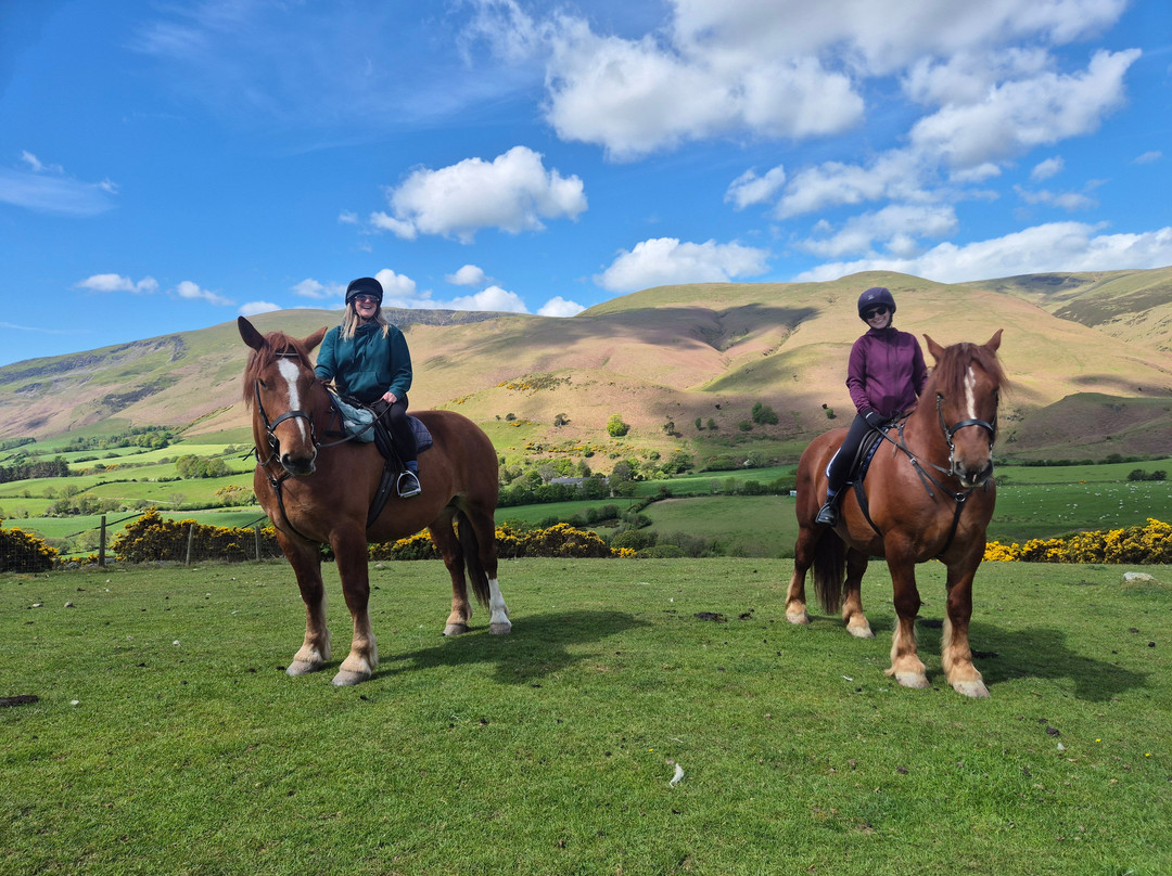 Cumbrian Heavy Horses-Millom必去景点