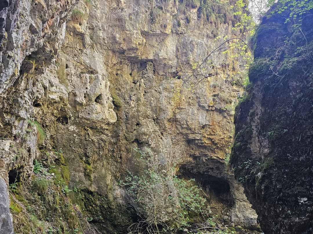 Canyon Rio Sass-Fondo必去景点