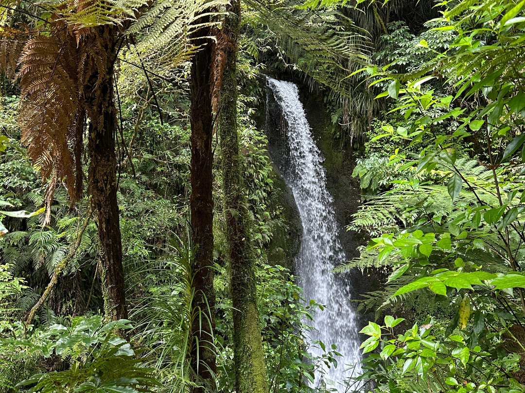 Adventure and Cultural Tours Bay of Plenty-陶兰加必去景点