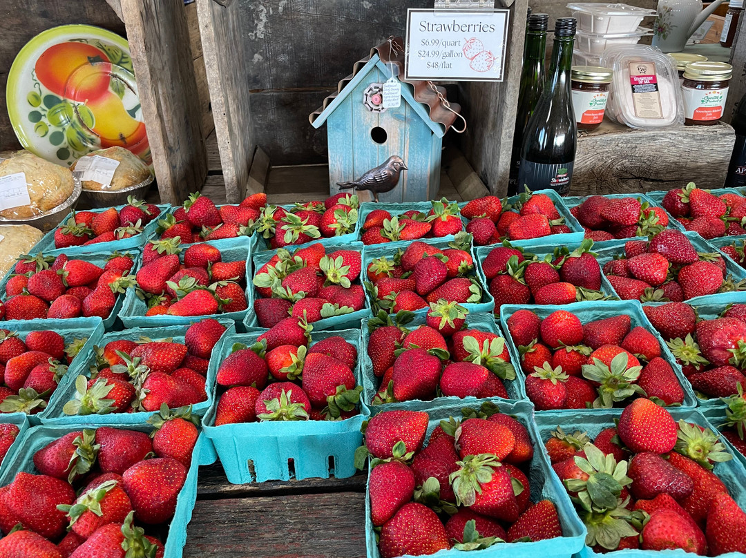 Overlook Produce