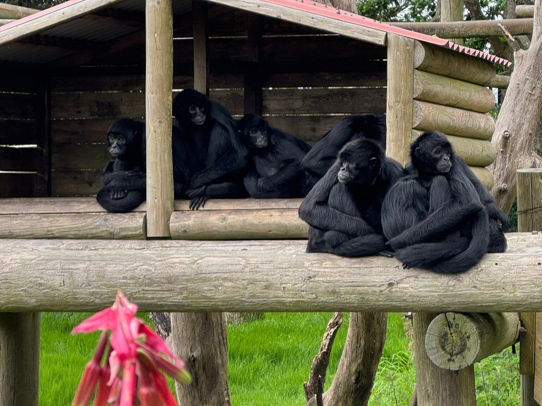 Fota Wildlife Park-Carrigtwohill必去景点