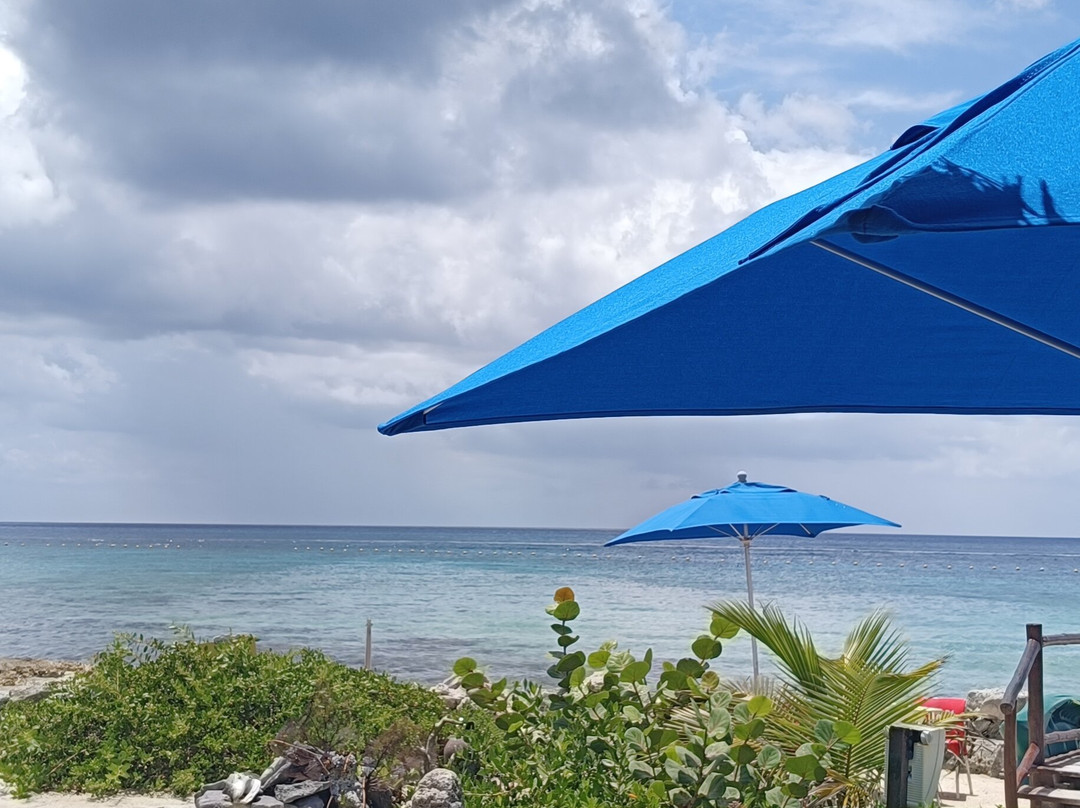 Skyreef Beach Club Cozumel-考祖梅必去景点