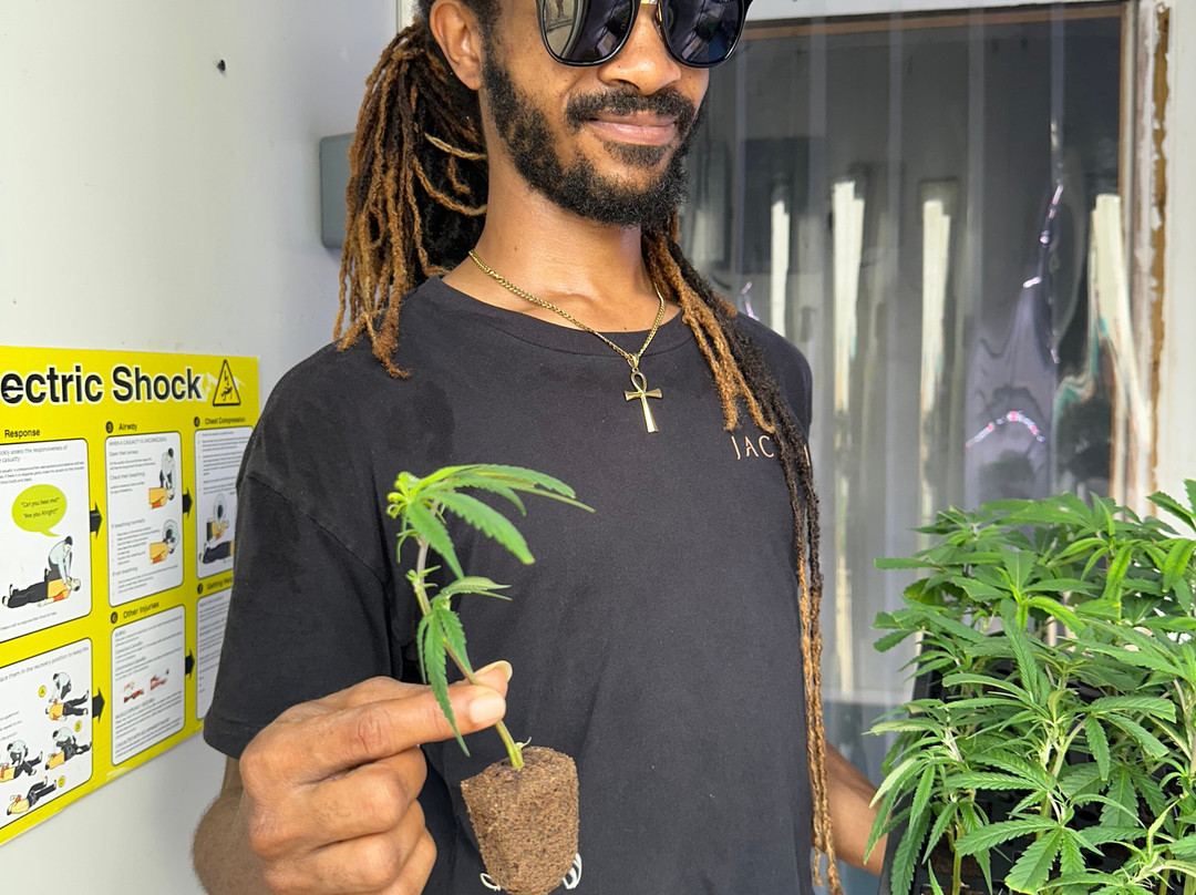 Jacana Farm Tours-奥乔里奥斯必去景点