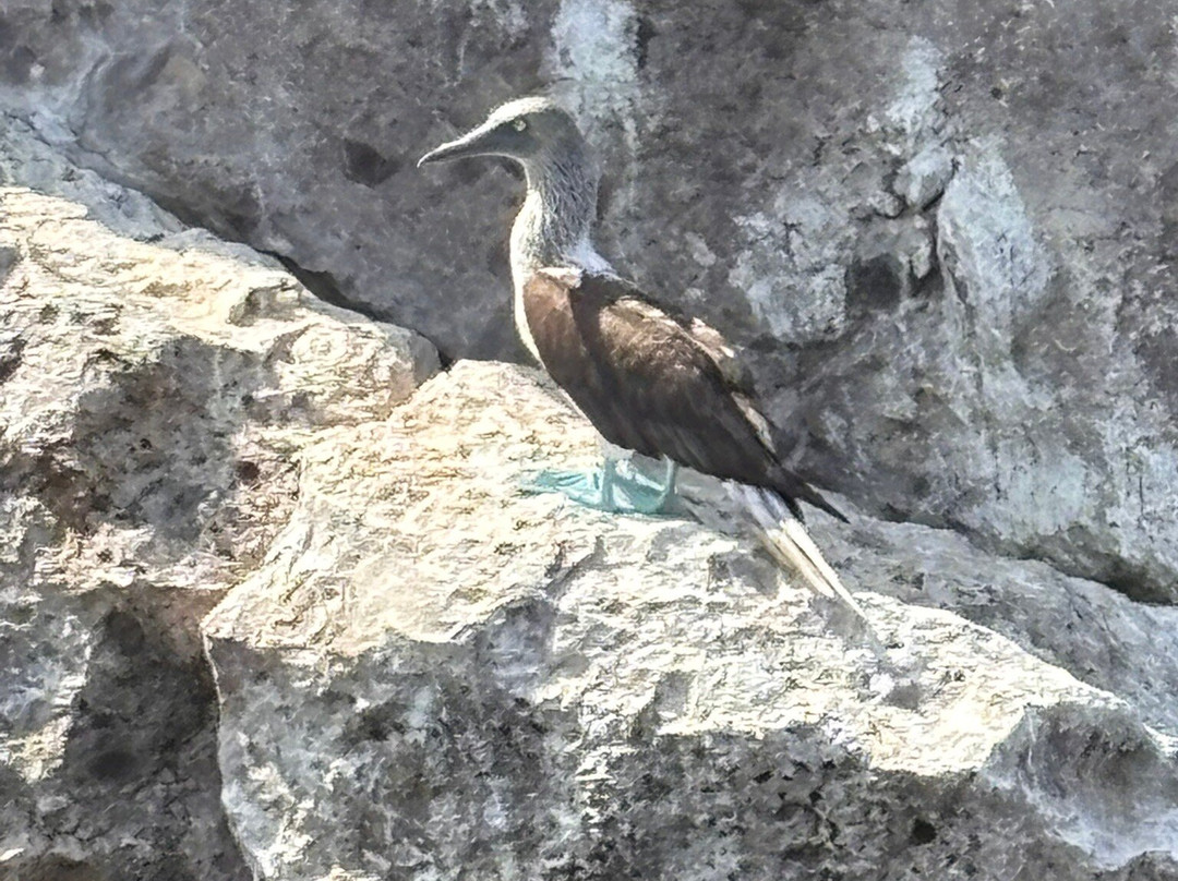 Dressel Divers Puerto Vallarta-蓬塔米塔必去景点