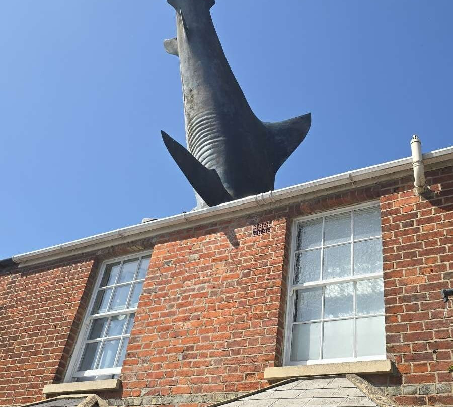 Headington Shark-Headington必去景点