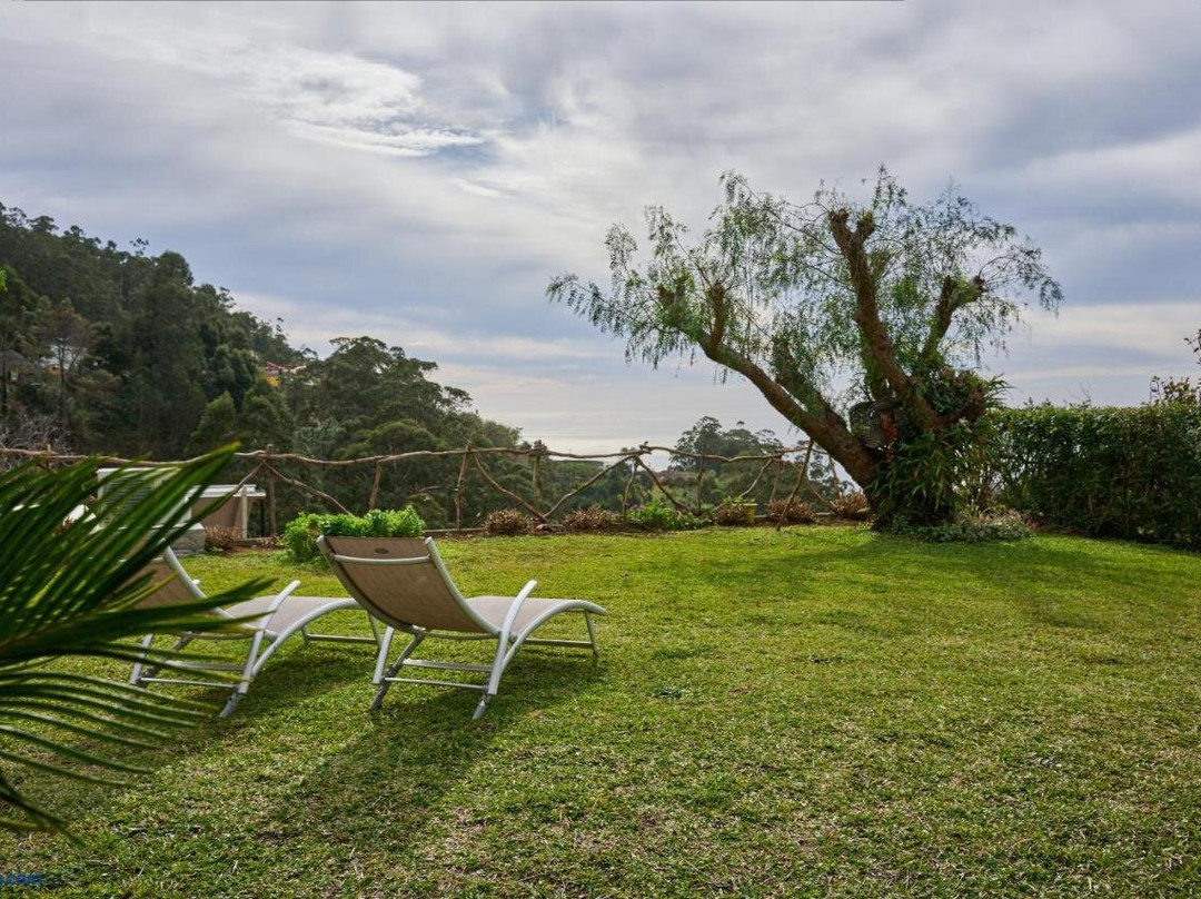 Casas Maravilha by Homie